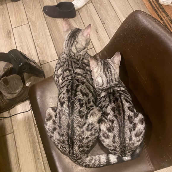 Hello there! Iโm Wilow - Picture 5 of 6